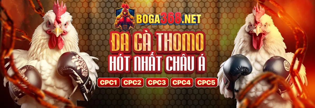 Các trò chơi cá cược đa dạng tại mc876